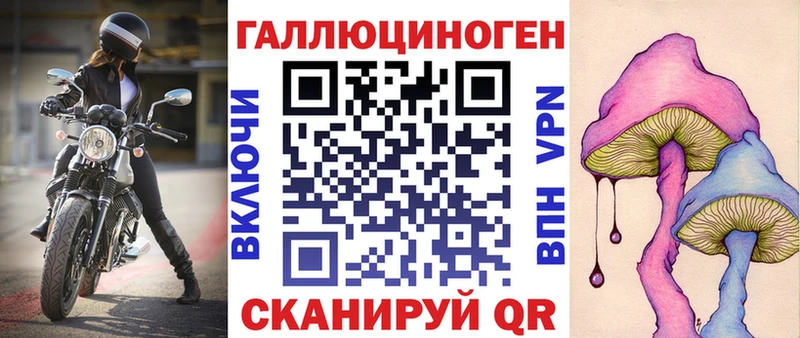 Псилоцибиновые грибы GOLDEN TEACHER  купить   Дыгулыбгей 